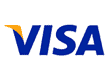visa icon